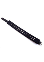Load image into Gallery viewer, Rouge 5 D Ring Leather Collar
