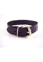 Load image into Gallery viewer, Rouge O Ring Studded Adjustable Leather Collar
