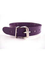 Load image into Gallery viewer, Rouge O Ring Studded Adjustable Leather Collar - Purple
