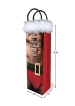 Load image into Gallery viewer, Santa Has A Big Package For You - Gift Bag
