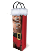 Load image into Gallery viewer, Santa Has A Big Package For You - Gift Bag
