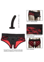 Load image into Gallery viewer, Scandal Crotchless Pegging Panty
