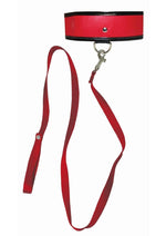 Load image into Gallery viewer, Sex and Mischief Leash and Collar
