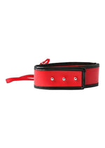 Load image into Gallery viewer, Sex and Mischief Leash and Collar
