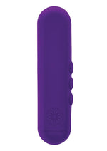 Load image into Gallery viewer, Sincerely Unity Vibe Silicone Rechargeable Vibrator - Purple
