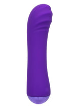 Load image into Gallery viewer, Thicc Chubby Buddy Rechargeable Silicone G-Spot Vibrator - Purple
