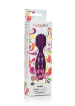 Load image into Gallery viewer, Tiny Teasers Nubby USB Rechargeable Mini Vibrator Silicone Textured Head Waterproof - Purple
