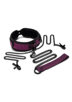 Load image into Gallery viewer, WhipSmart Dragon&#39;s Lair Collar, Leash and Nipple Clips - Black/Purple - Set
